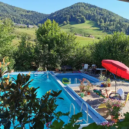 Ferienwohnungen Vogelsang Münstertal Exterior foto