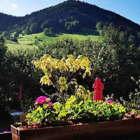 Ferienwohnungen Vogelsang Münstertal Exterior foto