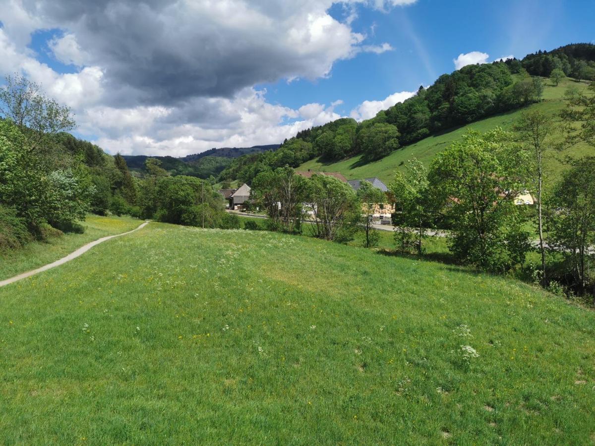 Vogelsang Im Schwarzwald * Muenstertal