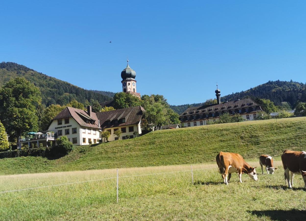 Apartment Vogelsang Im Schwarzwald *