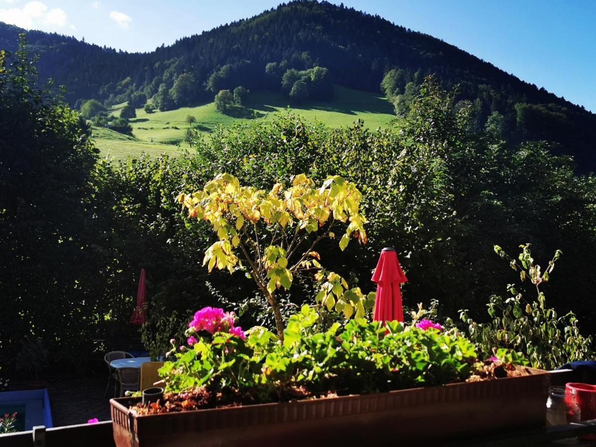 Vogelsang Im Schwarzwald Apartment