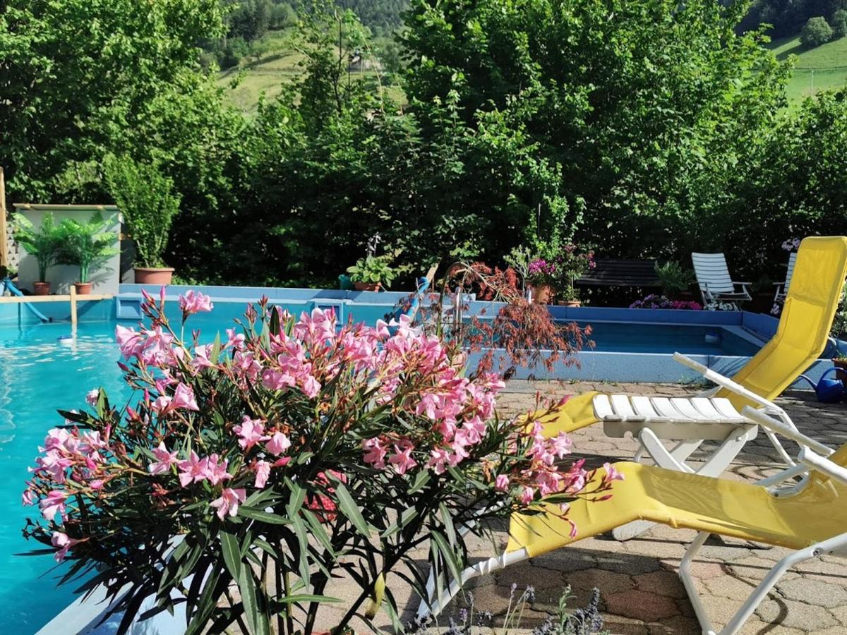 Apartment Vogelsang Im Schwarzwald
