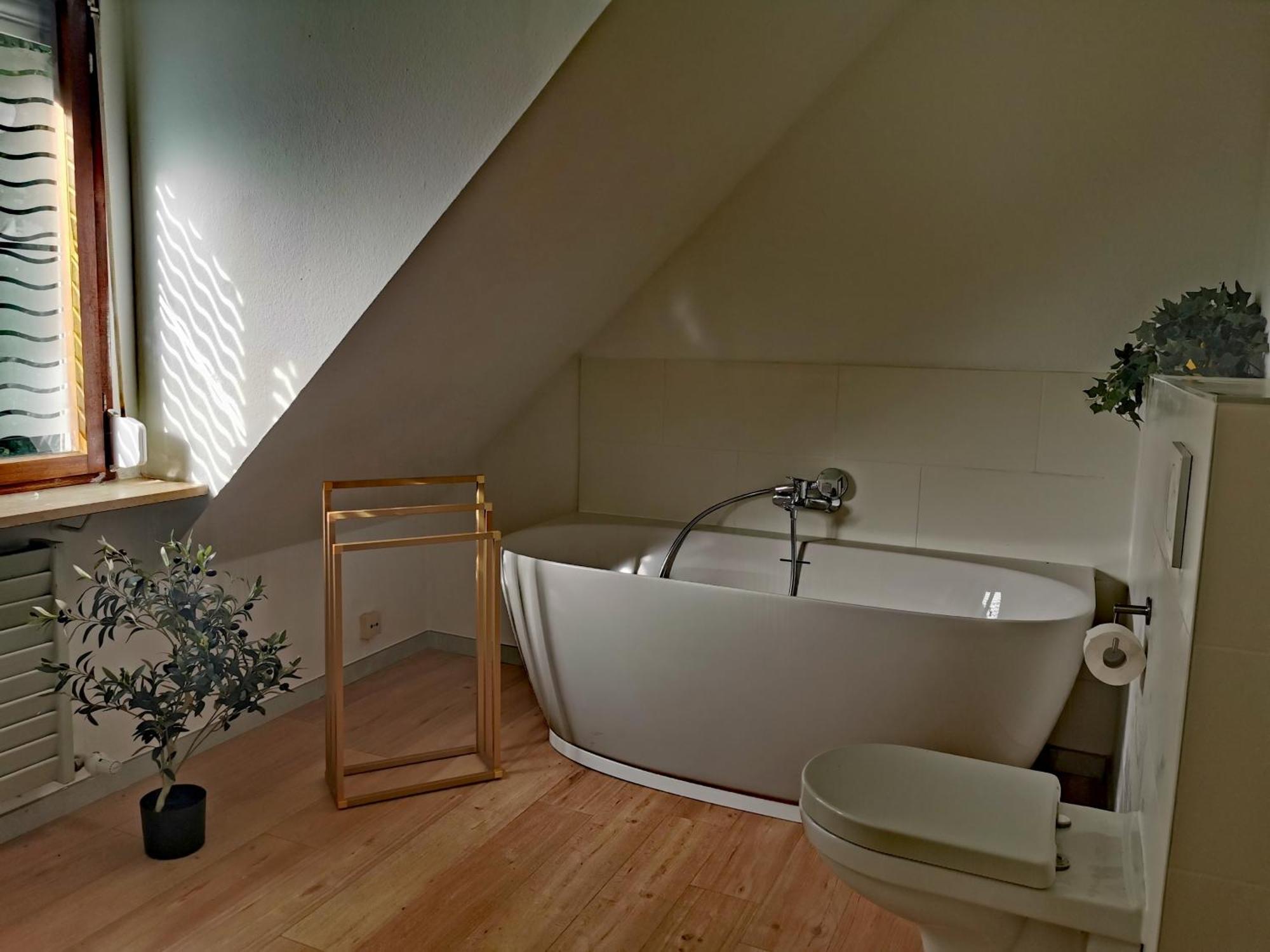 Vogelsang Im Schwarzwald Apartment