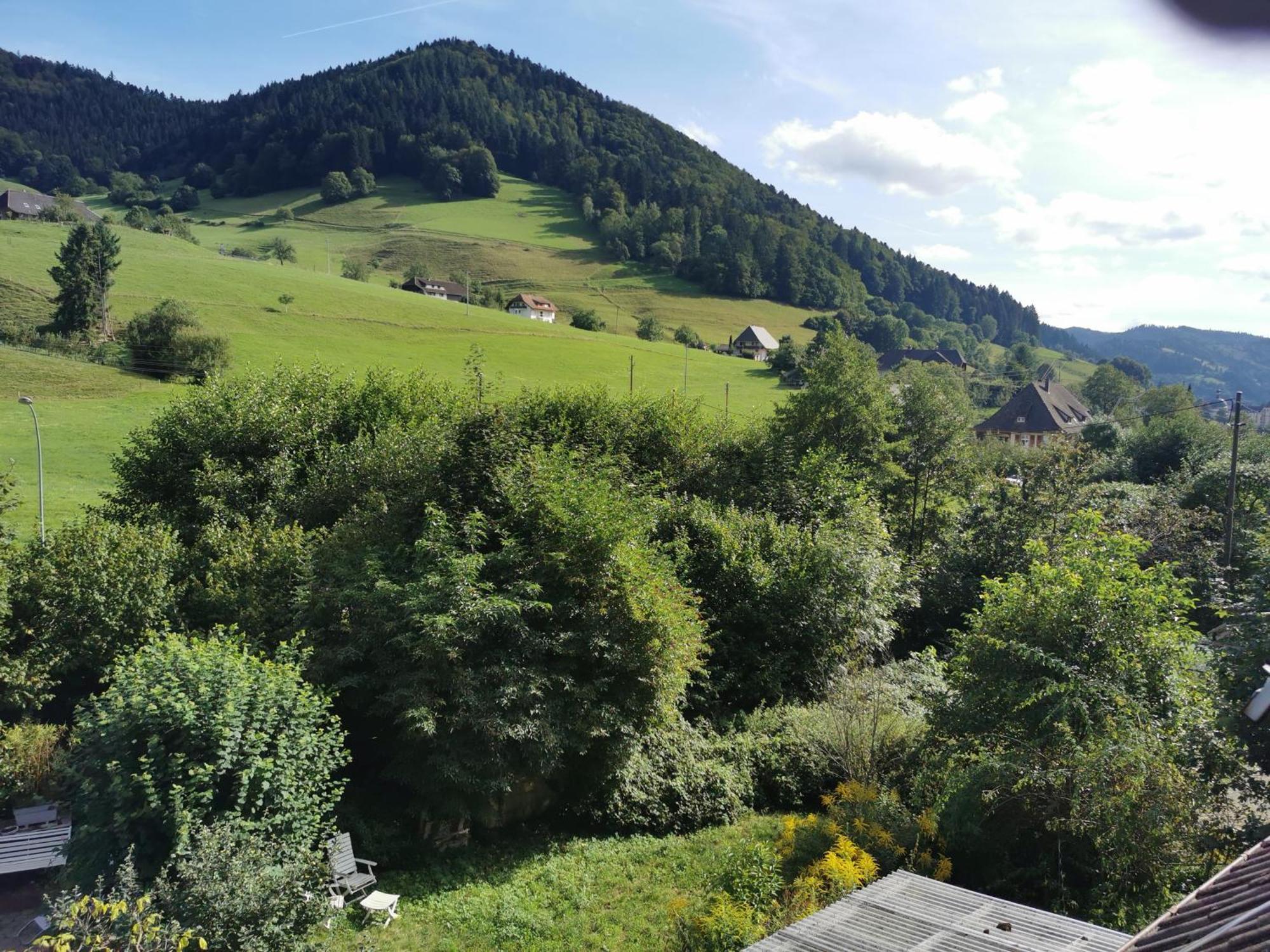 Vogelsang Im Schwarzwald Apartment *